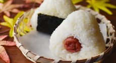 rice-ball-6511221_1280